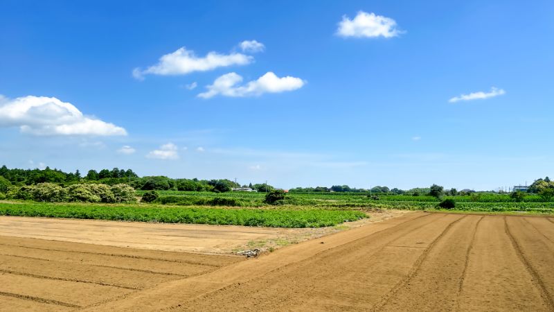 【田舎だからこそ】成功しやすい土地活用のアイデア7選！支援事例も紹介