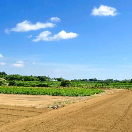 【田舎だからこそ】成功しやすい土地活用のアイデア7選！支援事例も紹介